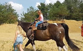 3 Bedroom Chalet On Camping Gt Balen