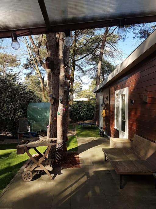 3 Bedroom Chalet On Camping Gt Balen Buitenkant foto